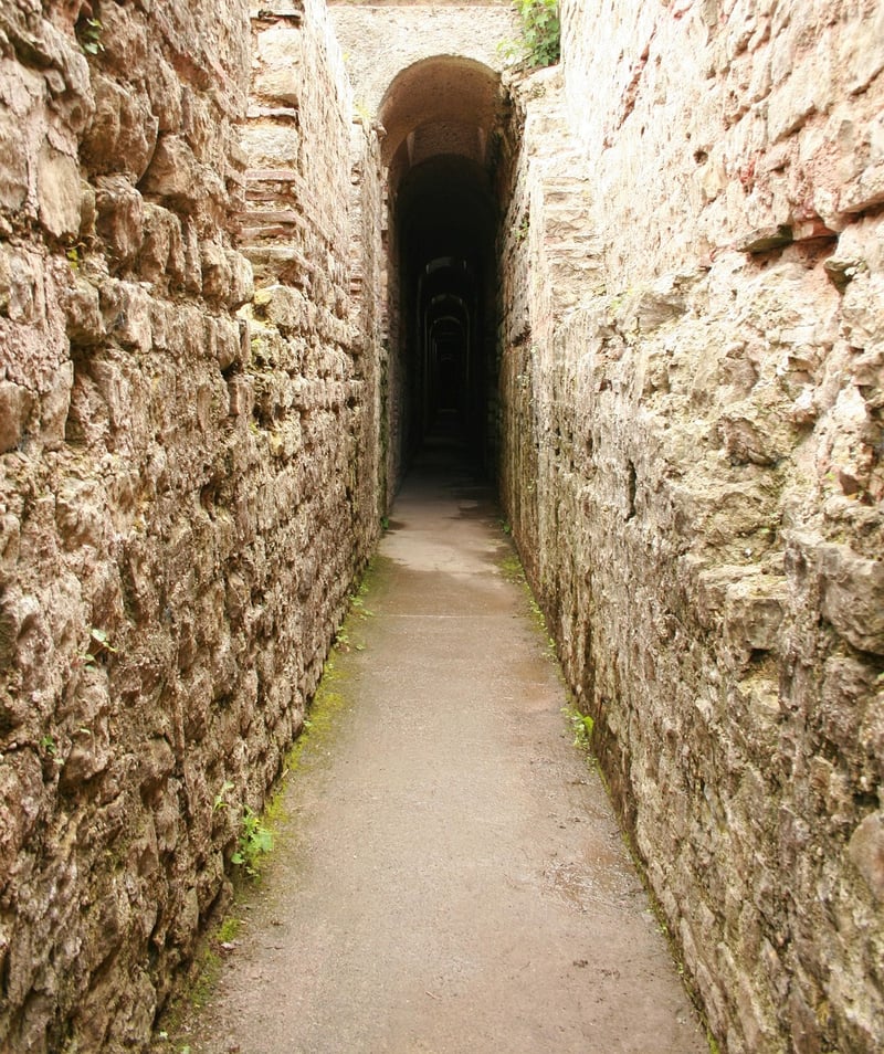 Labyrinth walking in a forest
