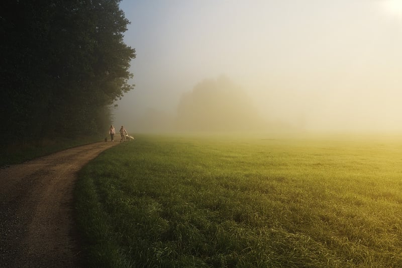 Walking in nature